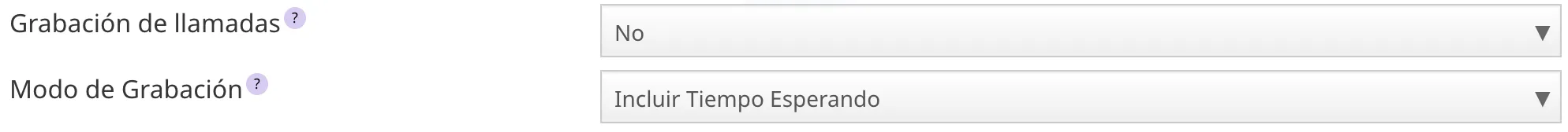 Opciones de grabación de colas